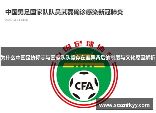 为什么中国足协标志与国家队队徽存在差异背后的制度与文化原因解析